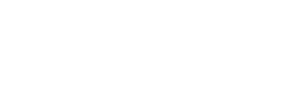 Maastricht University - Anivation