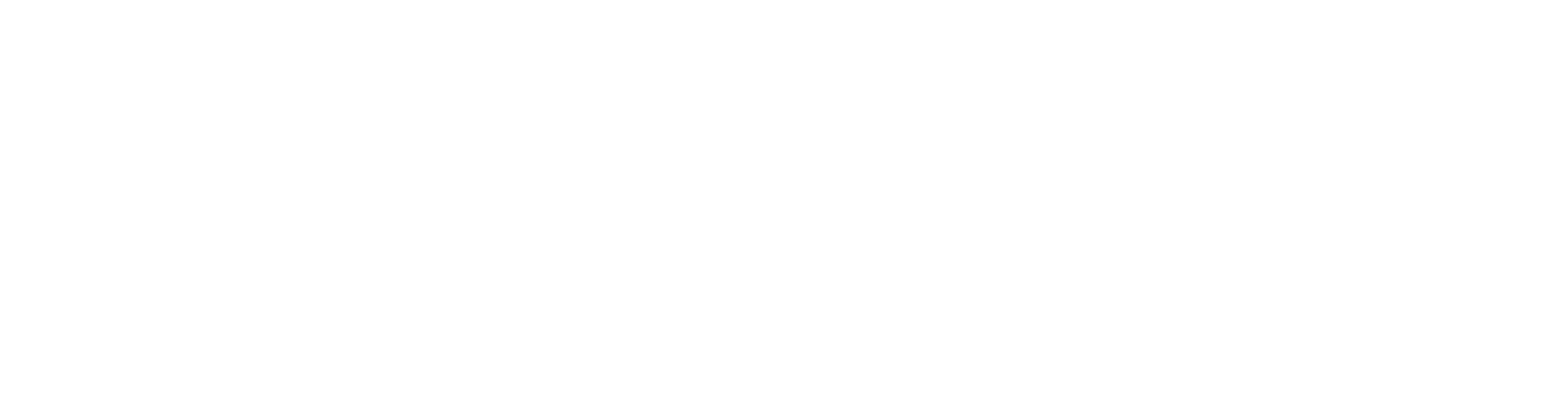 Zuyd logo kleur anivation png